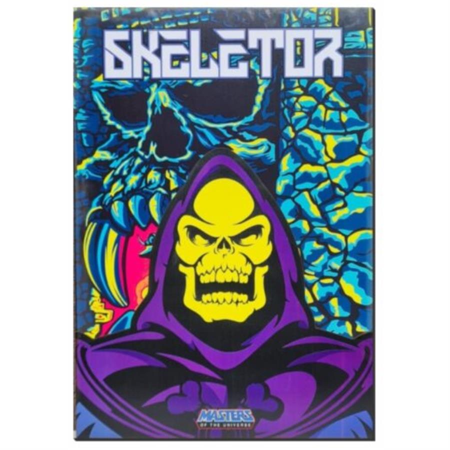 CUADRO RELIEVE - SKELETOR