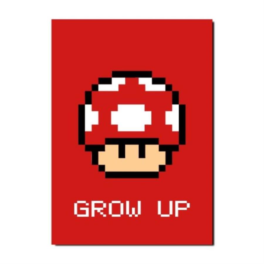 CUADRO RELIEVE - HONGUITO MARIO GROW UP