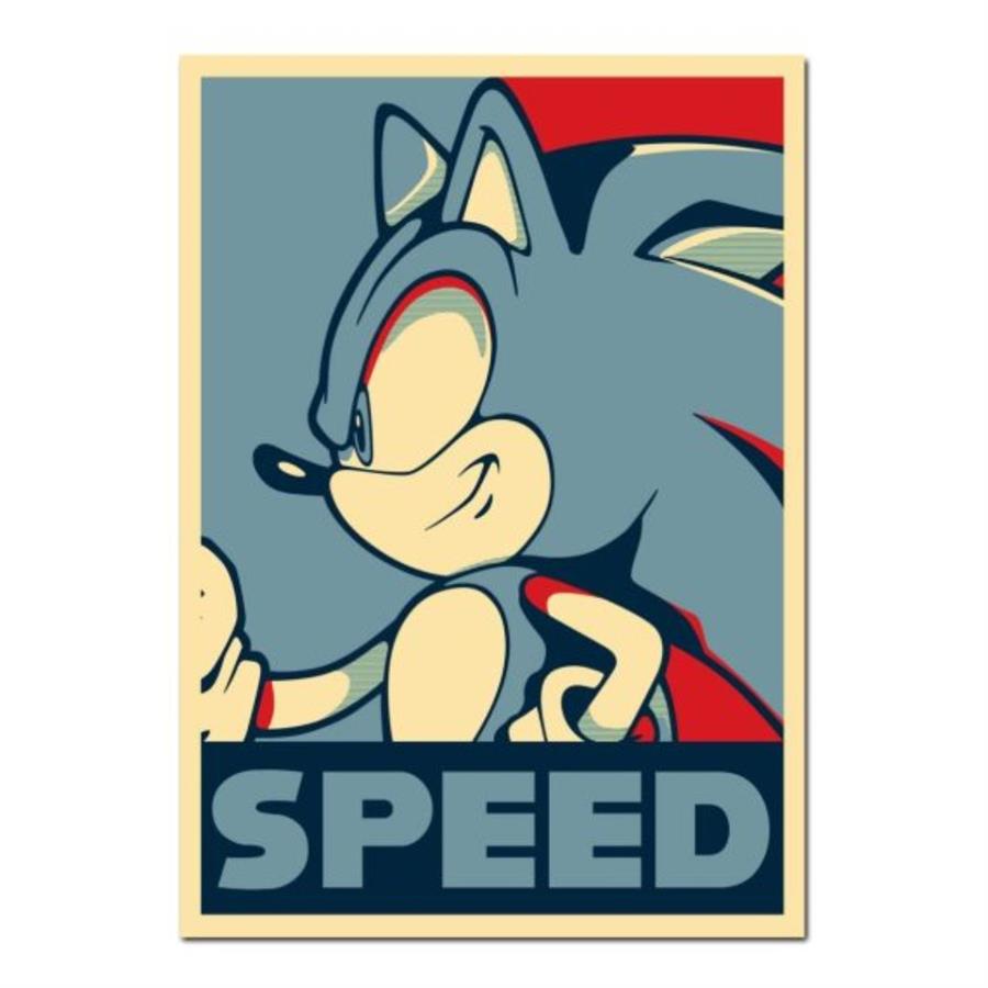 CUADRO RELIEVE - SONIC SPEED