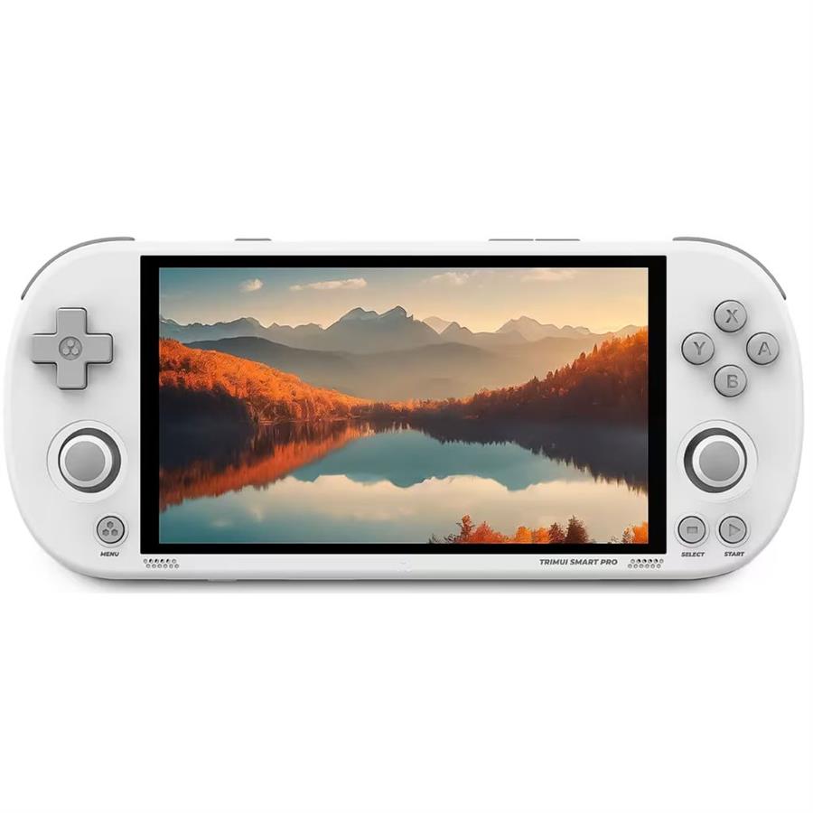 CONSOLA PORTATIL TG5040 64GB - BLANCA